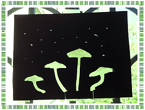 Land Image 2