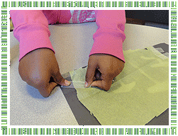 Step 6