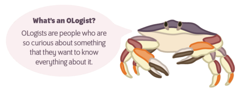 crab with speech bubble saying "What's an ologist? OLogists are people who are so curious about something that they want to know everything about it."