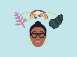 Illustration of the head of a person wearing glasses with a crab, seaweed, and shell connected by dotted lines above their head.