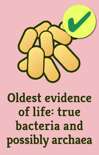 1-true-bacteria-vert_full_495_checked