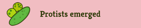 "Protists emerged"