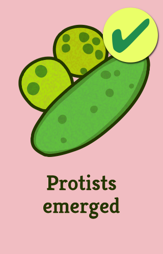 2-protists-vert_full_495_checked