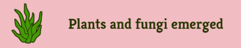 "Plants and fungi emerged"