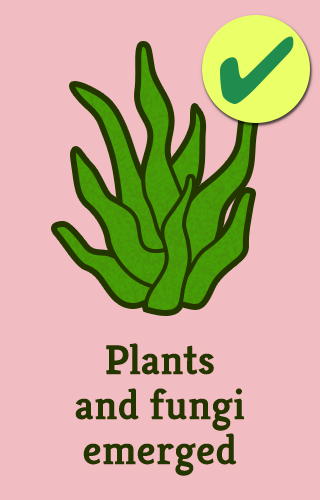 3-plant-vert_full_495_checked