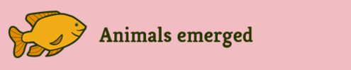 "Animals emerged"