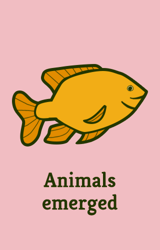 "Animals emerged"