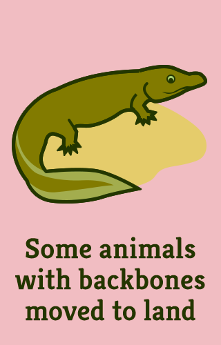 "Some animals with backbones moved to land"