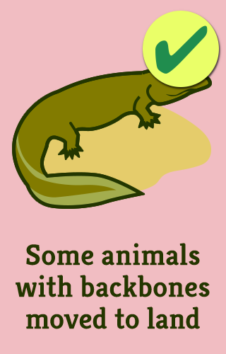 5-land-animal-vert_full_495_checked