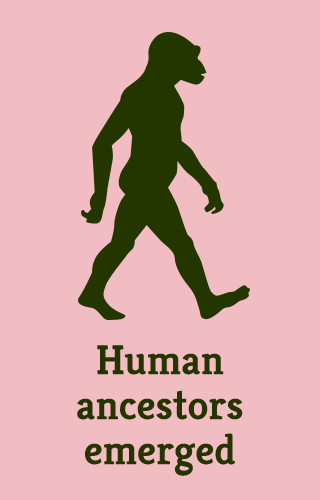 "Human ancestors emerged"