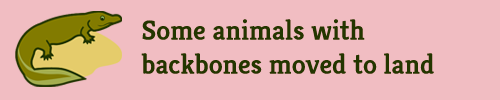 "Some animals with backbones moved to land"