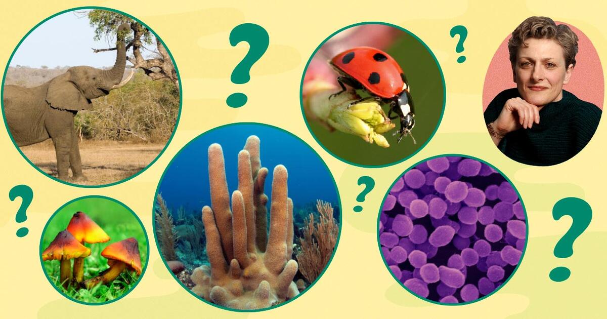What Do You Know About Life on Earth? | AMNH