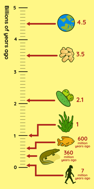 Timeline measured in billions of years with history of the life on earth plotted at various points