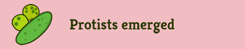 "Protists emerged"