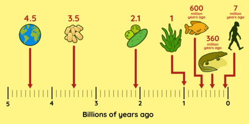 Timeline measured in billions of years with history of the life on earth plotted at various points