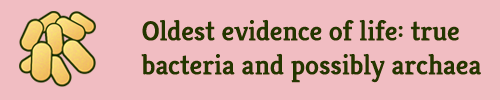"Oldest evidence of life: true bacteria and possibly archaea"