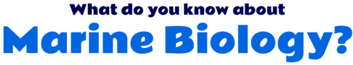 Text reading "What do you know about Marine Biology?" with the words "Marine Biology" in a thicker font and bright color.