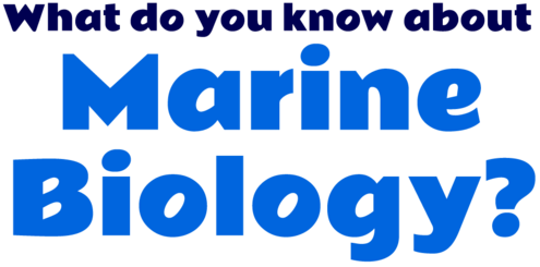 Text reading "What do you know about Marine Biology?" with the words "Marine Biology" in a thicker font and bright color.