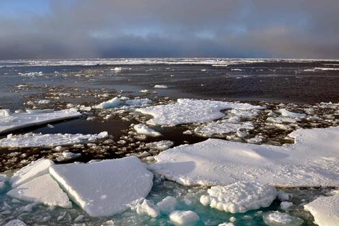 ocean with floating ice