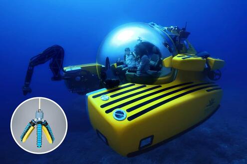 two marine biologists in a yellow submersible; inset, a foam-padded mechanical claw