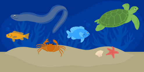 A sea turtle, moray eel, two fish, a crab, sea star and shell among coral in the ocean.  