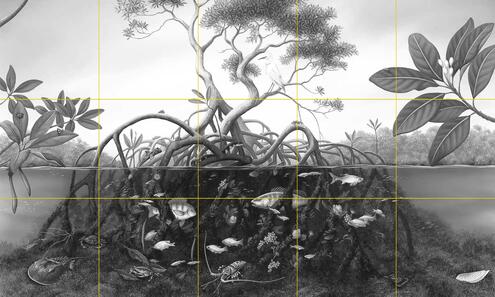 mangrove scene of tree above the water line and roots below with many marine animals and plants and grid lines over top