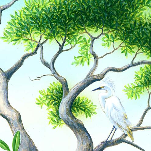 red mangrove branches with leaves against blue sky and a snowy egret on one branch