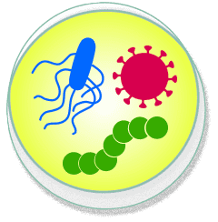 petrie dish with bacteria