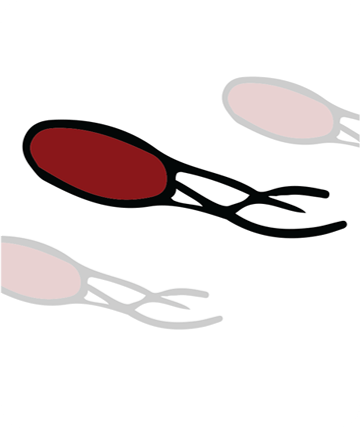 pathogen