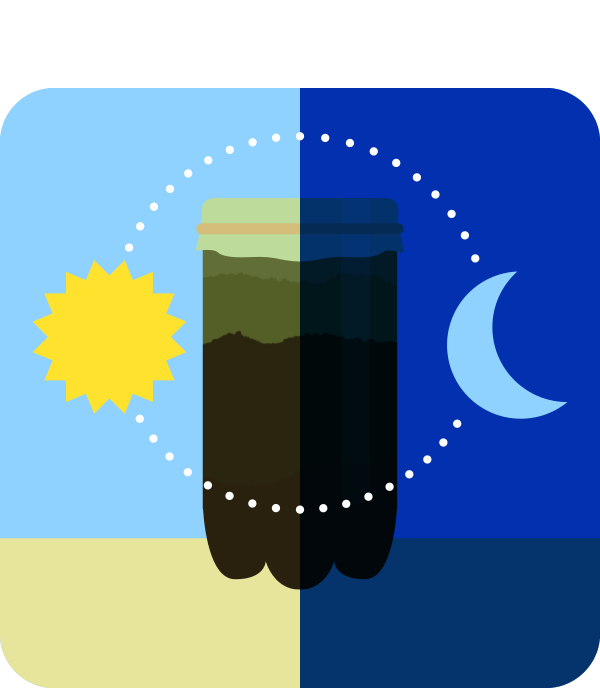 A winogradsky column, split down the middle vertically; The left side is bathed in sunlight, and the other is in total darkness.