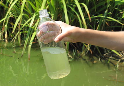 who-to-make-a-winogradsy-column-get-water