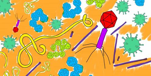 Illustration of various microorganisms, including viruses and bacteria.