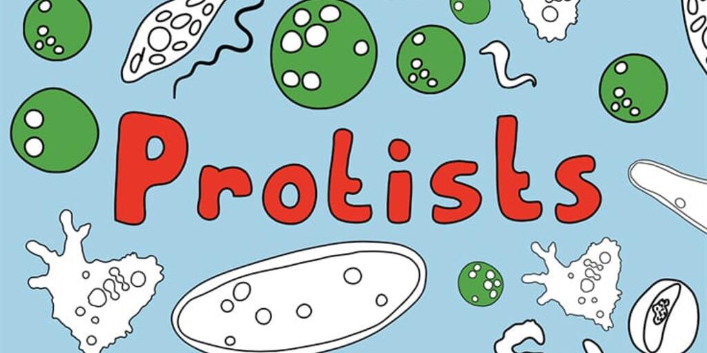 Online Coloring: Protists | AMNH