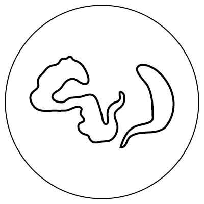 Line drawing of two squiggle shapes inside a larger circle, representing Trypanosoma microbes.
