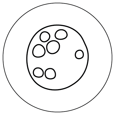 Line drawing of a circle with seven dots on it inside of a larger circle, representing a volvox microbe.