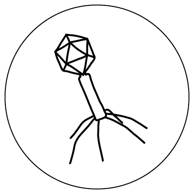 Line drawing of an icosahedron on top of a thin cylinder atop six legs inside a larger circle, representing a bacteriophage microbe.