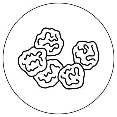 Line drawing depicting five irregular circular shapes with squiggles inside of a circle, representing rhinovirus microbes.