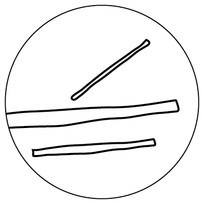 Line drawing depicting three slim rectangles inside of a circle, representing a TMV microbe.