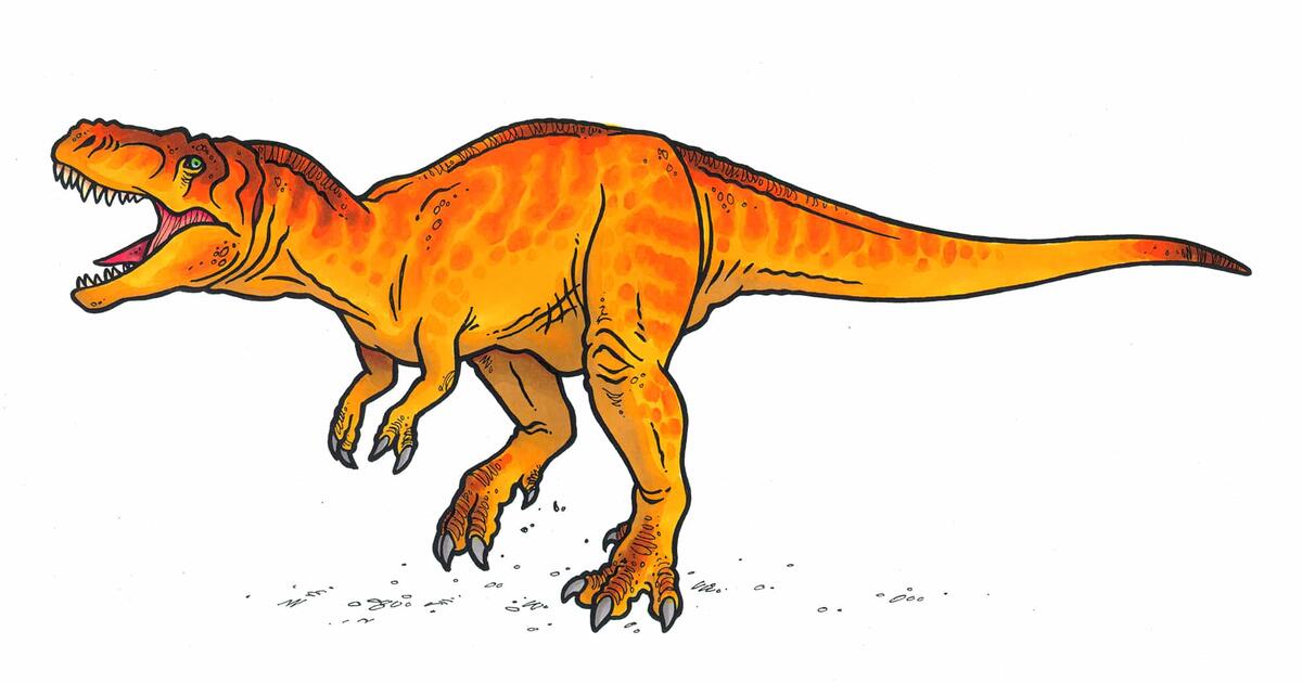 Tyrannosaurus rex AMNH