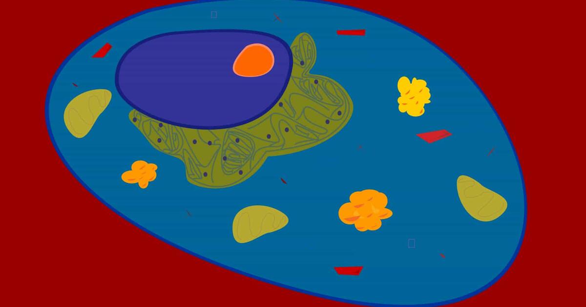 olc_102_cell_front_facebooksha