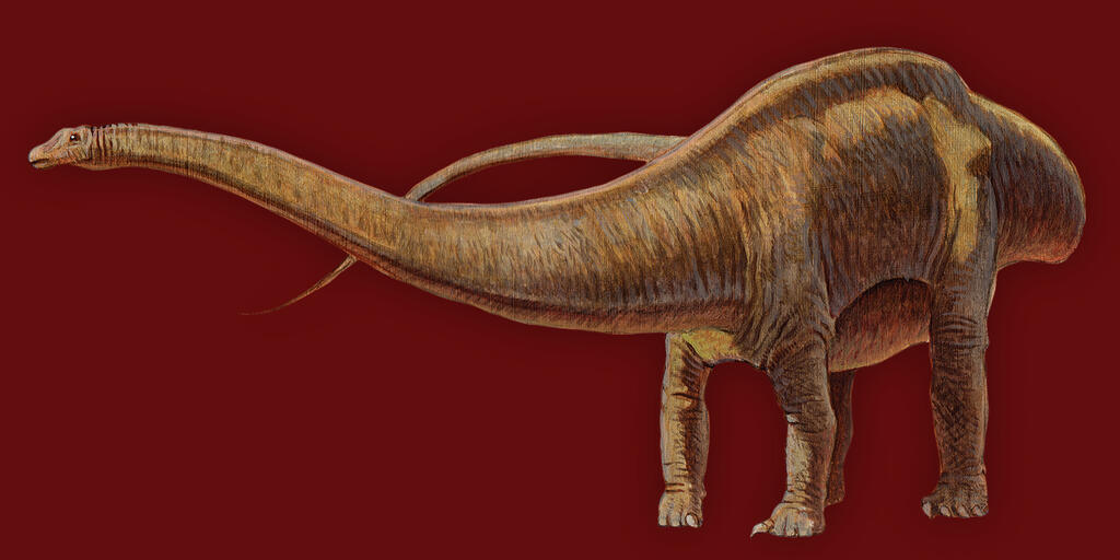 Seismosaurus | AMNH