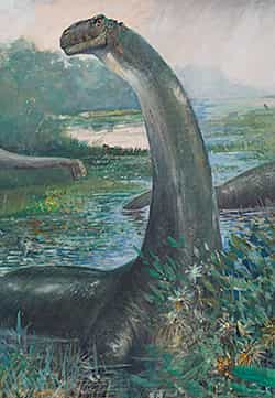 apatosaurus painting