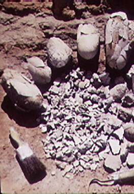 dinosaur eggs uncovered in rock