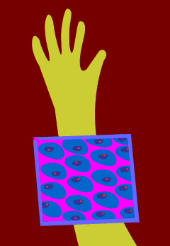 insert view of cells inside arm