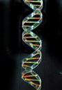 double helix