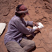 Amy Davidson excavating