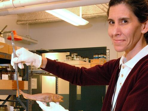 scientist Adriana Aquino in the lab