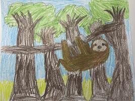 a drawing of a sloth camouflaging in tree limbs