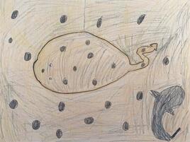 illustration of a stingray camouflaging on the sea floor to escape detection by a shark