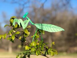 paper sculpture of praying mantis placed in tree branches